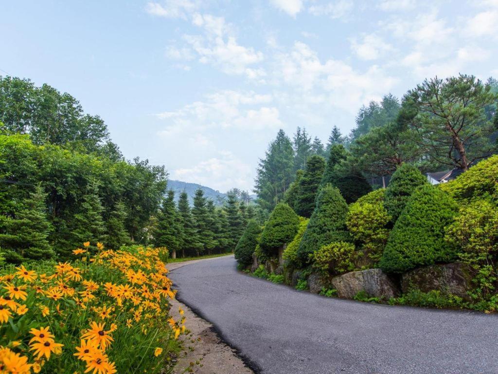 Pyeongchang Greenhill Pension Exterior photo