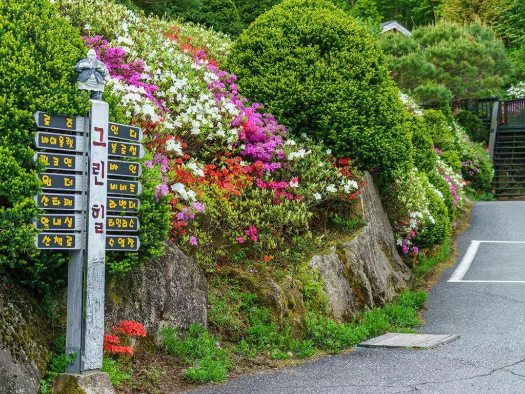 Pyeongchang Greenhill Pension Exterior photo